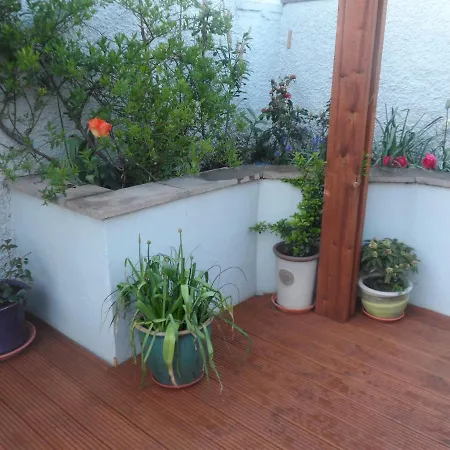 Bed & Breakfast Midtown Farm 4*