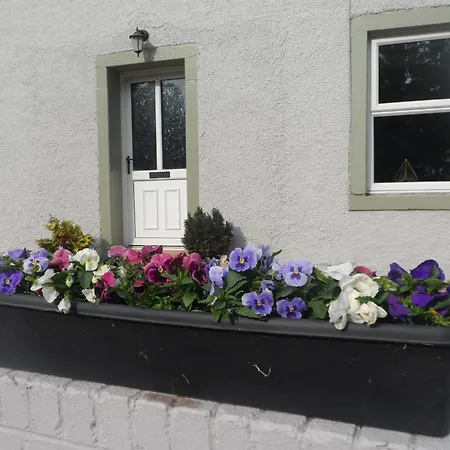 Midtown Farm Frühstückspension 4*