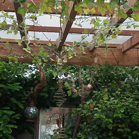 Midtown Farm Easton (Cumbria)