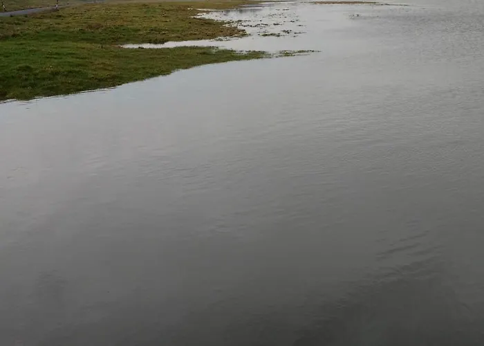 Bed & Breakfast Midtown Farm 4*