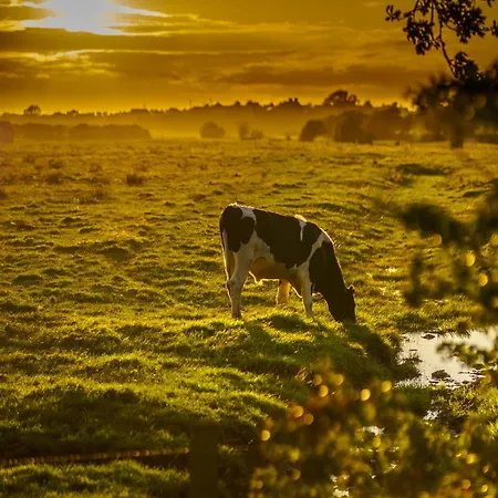 Midtown Farm Bed & Breakfast