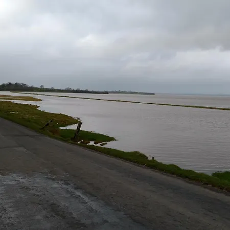 Midtown Farm Bed & Breakfast