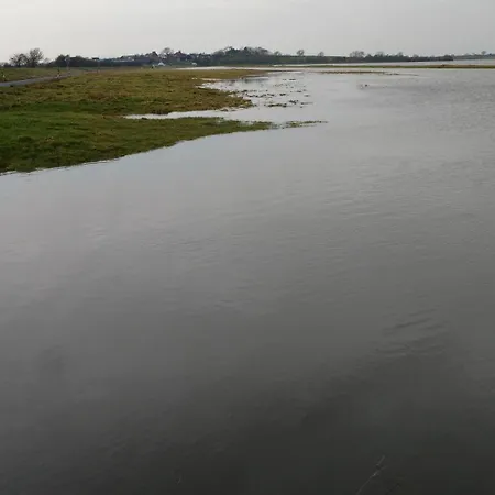 Bed & Breakfast Midtown Farm 4*